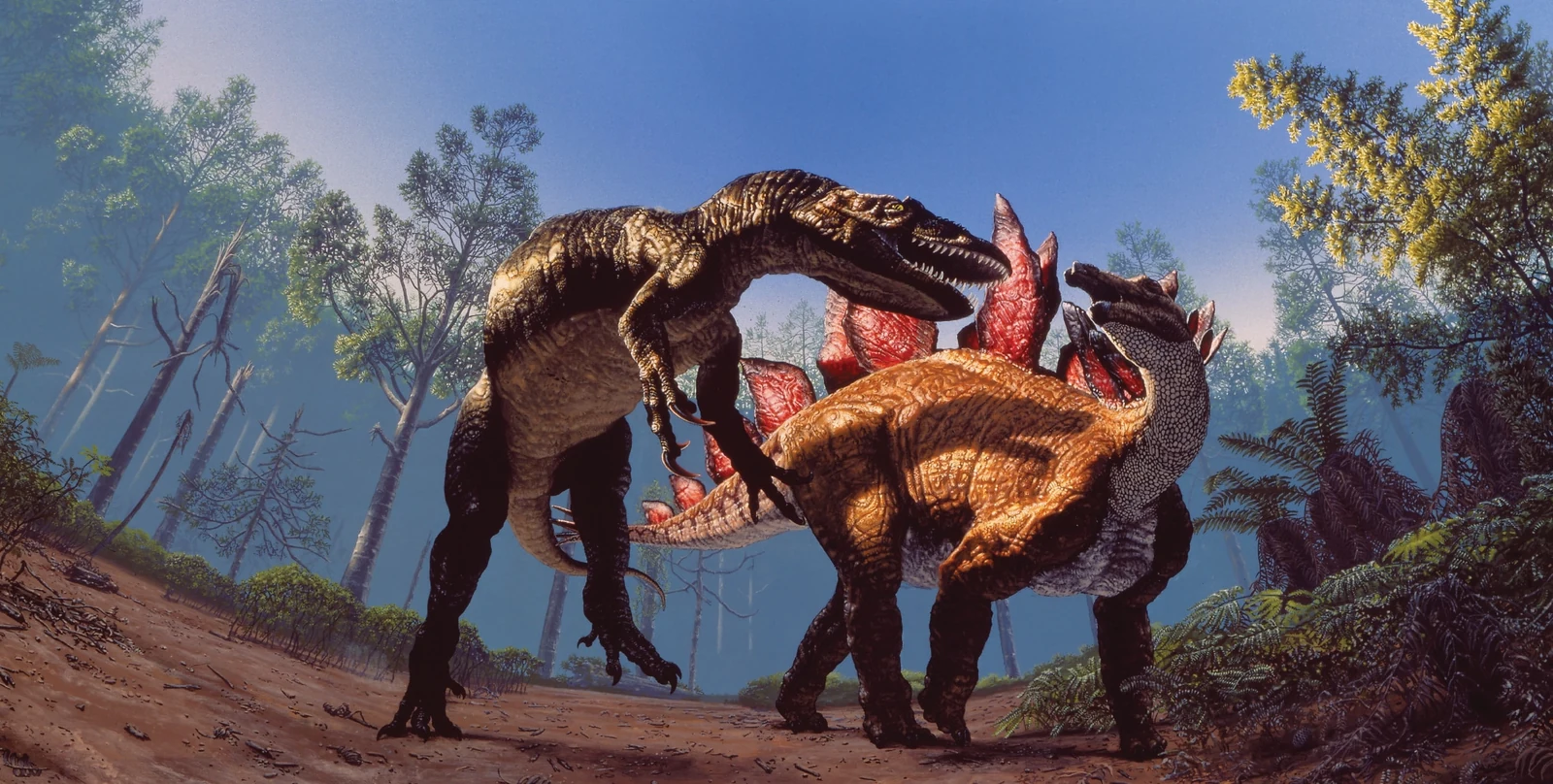 An Allosaurus lunges at a Stegosaurus that has swung its spiked tail in defense.