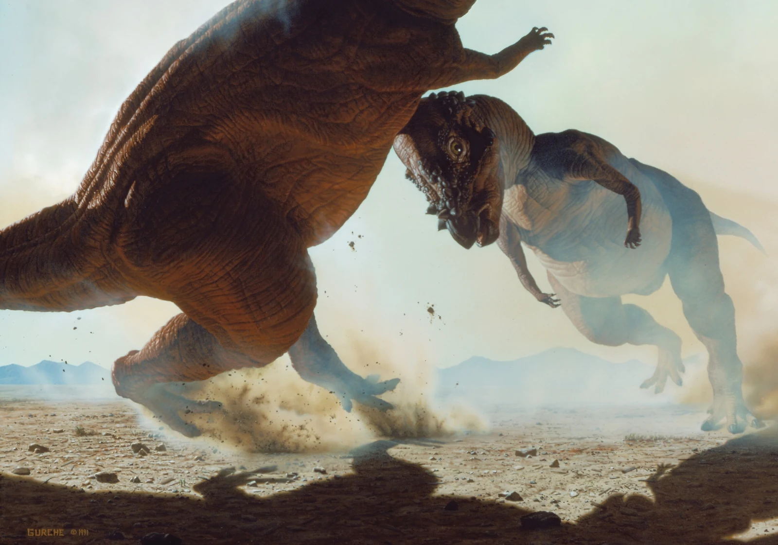 Two Pachycephalosaurus collide head-on, throwing up dust on open ground.
